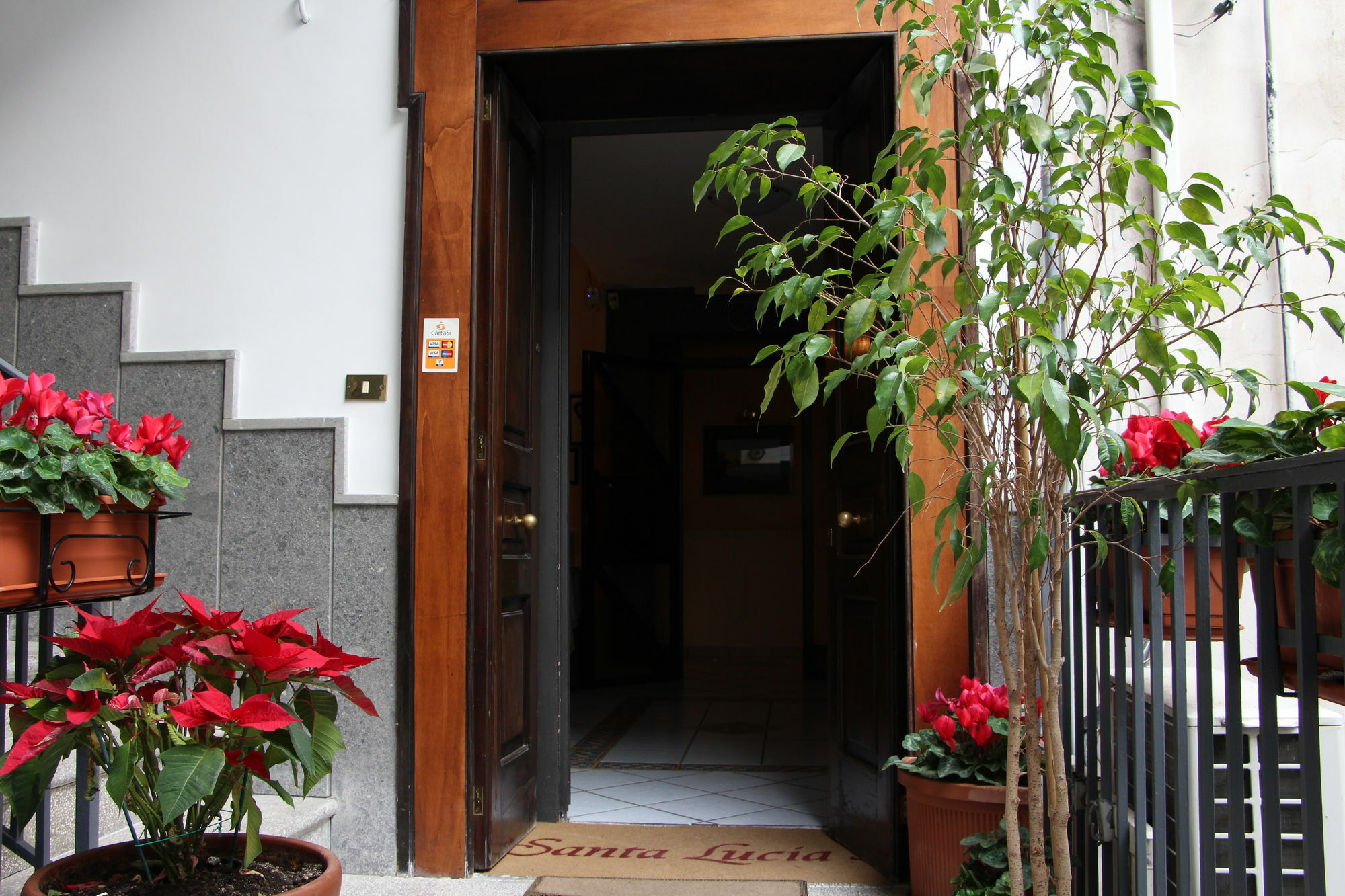 Santa Lucia 50